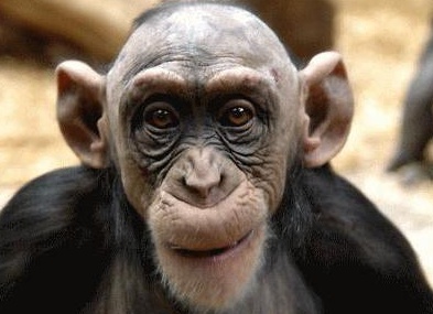 &amp;ETH;&amp;sup3;&amp;ETH;&amp;acute;&amp;ETH;&amp;micro; &amp;ETH;&amp;para;&amp;ETH;&amp;cedil;&amp;ETH;&amp;sup2;&amp;ETH;&amp;micro;&amp;Ntilde; &amp;ETH;&amp;iquest;&amp;ETH;&amp;deg;&amp;Ntilde;&amp;ETH;&amp;ordm;&amp;ETH;&amp;frac34;&amp;ETH;&amp;frac34;&amp;ETH;&amp;plusmn;&amp;Ntilde;&amp;ETH;&amp;deg;&amp;ETH;&amp;middot;&amp;ETH;&amp;frac12;&amp;ETH;&amp;deg;&amp;Ntilde; &amp;ETH;&amp;frac34;&amp;ETH;&amp;plusmn;&amp;ETH;&amp;micro;&amp;ETH;&amp;middot;&amp;Ntilde;&amp;Ntilde;&amp;ETH;&amp;frac12;&amp;ETH;&amp;deg;