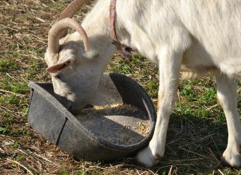 &amp;ETH;&amp;ordm;&amp;ETH;&amp;frac34;&amp;Ntilde;&amp;ETH;&amp;frac14; &amp;ETH;&amp;acute;&amp;ETH;&amp;raquo;&amp;Ntilde; &amp;ETH;&amp;ordm;&amp;ETH;&amp;frac34;&amp;ETH;&amp;middot;