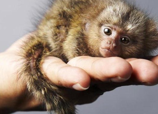 &amp;ETH;&amp;frac34;&amp;ETH;&amp;plusmn;&amp;ETH;&amp;micro;&amp;ETH;&amp;middot;&amp;Ntilde;&amp;Ntilde;&amp;ETH;&amp;frac12;&amp;ETH;&amp;ordm;&amp;ETH;&amp;deg; &amp;Ntilde; &amp;ETH;&amp;plusmn;&amp;ETH;&amp;frac34;&amp;ETH;&amp;raquo;&amp;Ntilde;&amp;Ntilde;&amp;ETH;&amp;cedil;&amp;ETH;&amp;frac14;&amp;ETH;&amp;cedil; &amp;ETH;&amp;sup3;&amp;ETH;&amp;raquo;&amp;ETH;&amp;deg;&amp;ETH;&amp;middot;&amp;ETH;&amp;deg;&amp;ETH;&amp;frac14;&amp;ETH;&amp;cedil;