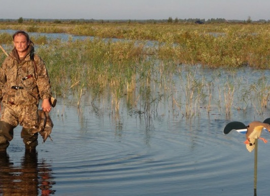 Охота на утку, осеняя охота на утку, как прицелиться в утку, как стрелять по утке, как стрелять на охоте на утку, охота на утку на перелетах, охота на утку с подхода, охота на уток с чучелами, охота на утку на пролетах, охота на утку с подъезда, дробь на охоте на утку