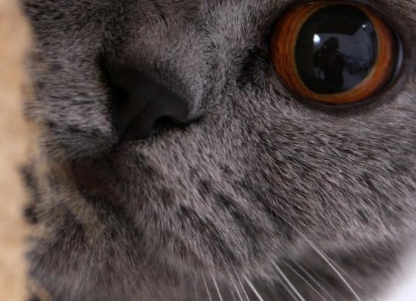 &amp;ETH;&amp;ETH;&amp;acute;&amp;ETH;&amp;frac12;&amp;ETH;&amp;frac34; &amp;Ntilde;&amp;ETH;&amp;iquest;&amp;ETH;&amp;raquo;&amp;ETH;&amp;frac34;&amp;Ntilde;&amp;ETH;&amp;frac12;&amp;ETH;&amp;frac34;&amp;ETH;&amp;micro; &amp;Ntilde;&amp;ETH;&amp;frac14;&amp;ETH;&amp;cedil;&amp;ETH;&amp;raquo;&amp;ETH;&amp;micro;&amp;ETH;&amp;frac12;&amp;ETH;&amp;cedil;&amp;ETH;&amp;micro;