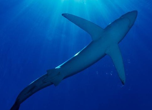 &amp;amp;amp;ETH;&amp;amp;amp;deg;&amp;amp;amp;ETH;&amp;amp;amp;ordm;&amp;amp;amp;Ntilde;&amp;amp;amp;ETH;&amp;amp;amp;raquo;&amp;amp;amp;ETH;&amp;amp;amp;deg; &amp;amp;amp;Ntilde;&amp;amp;amp;Ntilde;&amp;amp;amp;ETH;&amp;amp;amp;frac34; &amp;amp;amp;Ntilde;&amp;amp;amp;Ntilde;&amp;amp;amp;ETH;&amp;amp;amp;plusmn;&amp;amp;amp;ETH;&amp;amp;amp;deg; &amp;amp;amp;ETH;&amp;amp;amp;cedil;&amp;amp;amp;ETH;&amp;amp;amp;raquo;&amp;amp;amp;ETH;&amp;amp;amp;cedil; &amp;amp;amp;ETH;&amp;amp;amp;frac14;&amp;amp;amp;ETH;&amp;amp;amp;raquo;&amp;amp;amp;ETH;&amp;amp;amp;micro;&amp;amp;amp;ETH;&amp;amp;amp;ordm;&amp;amp;amp;ETH;&amp;amp;amp;frac34;&amp;amp;amp;ETH;&amp;amp;amp;iquest;&amp;amp;amp;ETH;&amp;amp;amp;cedil;&amp;amp;amp;Ntilde;&amp;amp;amp;ETH;&amp;amp;amp;deg;&amp;amp;amp;Ntilde;&amp;amp;amp;Ntilde;&amp;amp;amp;ETH;&amp;amp;amp;micro;&amp;amp;amp;ETH;&amp;amp;amp;micro;