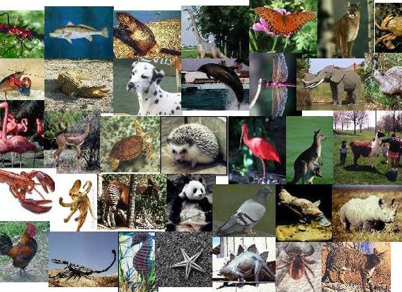 &amp;ETH;&amp;ordm;&amp;ETH;&amp;deg;&amp;ETH;&amp;ordm;&amp;ETH;&amp;cedil;&amp;ETH;&amp;micro; &amp;ETH;&amp;plusmn;&amp;Ntilde;&amp;ETH;&amp;sup2;&amp;ETH;&amp;deg;&amp;Ntilde;&amp;Ntilde; &amp;ETH;&amp;para;&amp;ETH;&amp;cedil;&amp;ETH;&amp;sup2;&amp;ETH;&amp;frac34;&amp;Ntilde;&amp;ETH;&amp;frac12;&amp;Ntilde;&amp;ETH;&amp;micro;