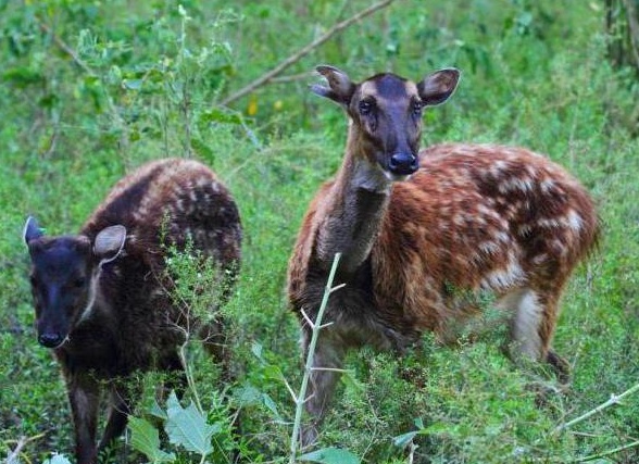 &amp;ETH;&amp;ordm;&amp;ETH;&amp;deg;&amp;ETH;&amp;ordm; &amp;ETH;&amp;sup2;&amp;Ntilde;&amp;ETH;&amp;sup3;&amp;ETH;&amp;raquo;&amp;Ntilde;&amp;ETH;&amp;acute;&amp;ETH;&amp;cedil;&amp;Ntilde; &amp;ETH;&amp;frac14;&amp;ETH;&amp;micro;&amp;ETH;&amp;para;&amp;ETH;&amp;acute;&amp;Ntilde;&amp;ETH;&amp;frac12;&amp;ETH;&amp;deg;&amp;Ntilde;&amp;ETH;&amp;frac34;&amp;ETH;&amp;acute;&amp;ETH;&amp;frac12;&amp;ETH;&amp;deg;&amp;Ntilde; &amp;ETH;&amp;ordm;&amp;Ntilde;&amp;ETH;&amp;deg;&amp;Ntilde;&amp;ETH;&amp;frac12;&amp;ETH;&amp;deg;&amp;Ntilde; &amp;ETH;&amp;ordm;&amp;ETH;&amp;frac12;&amp;ETH;&amp;cedil;&amp;ETH;&amp;sup3;&amp;ETH;&amp;deg;