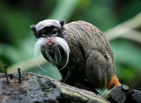 &amp;ETH;&amp;cedil;&amp;ETH;&amp;frac14;&amp;ETH;&amp;iquest;&amp;ETH;&amp;micro;&amp;Ntilde;&amp;ETH;&amp;deg;&amp;Ntilde;&amp;ETH;&amp;frac34;&amp;Ntilde;&amp;Ntilde;&amp;ETH;&amp;ordm;&amp;ETH;&amp;cedil;&amp;ETH;&amp;sup1; &amp;Ntilde;&amp;ETH;&amp;deg;&amp;ETH;&amp;frac14;&amp;ETH;&amp;deg;&amp;Ntilde;&amp;ETH;&amp;cedil;&amp;ETH;&amp;frac12; &amp;Ntilde;&amp;ETH;&amp;frac34;&amp;Ntilde;&amp;ETH;&amp;frac34;