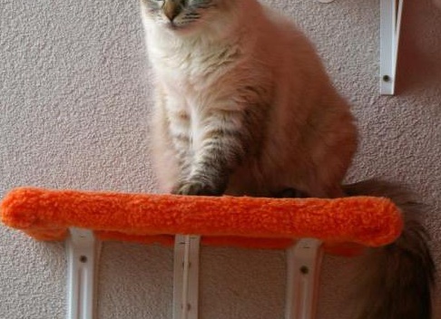 &amp;ETH;&amp;frac12;&amp;ETH;&amp;micro;&amp;ETH;&amp;sup2;&amp;Ntilde;&amp;ETH;&amp;ordm;&amp;ETH;&amp;deg;&amp;Ntilde; &amp;ETH;&amp;frac14;&amp;ETH;&amp;deg;&amp;Ntilde;&amp;ETH;&amp;ordm;&amp;ETH;&amp;deg;&amp;Ntilde;&amp;ETH;&amp;deg;&amp;ETH;&amp;acute;&amp;ETH;&amp;frac12;&amp;ETH;&amp;deg;&amp;Ntilde; &amp;ETH;&amp;ordm;&amp;ETH;&amp;frac34;&amp;Ntilde;&amp;ETH;&amp;ordm;&amp;ETH;&amp;deg; &amp;ETH;&amp;frac34;&amp;ETH;&amp;iquest;&amp;ETH;&amp;cedil;&amp;Ntilde;&amp;ETH;&amp;deg;&amp;ETH;&amp;frac12;&amp;ETH;&amp;cedil;&amp;ETH;&amp;micro; &amp;ETH;&amp;iquest;&amp;ETH;&amp;frac34;&amp;Ntilde;&amp;ETH;&amp;frac34;&amp;ETH;&amp;acute;&amp;Ntilde;