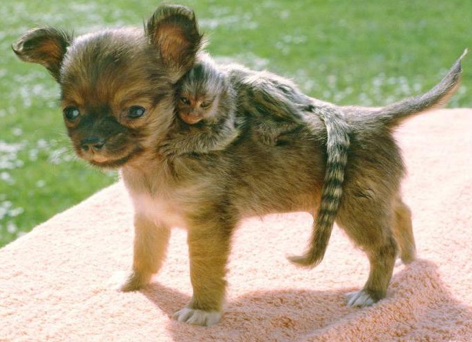 &amp;ETH;&amp;frac14;&amp;ETH;&amp;deg;&amp;ETH;&amp;raquo;&amp;ETH;&amp;micro;&amp;ETH;&amp;frac12;&amp;Ntilde;&amp;ETH;&amp;ordm;&amp;ETH;&amp;cedil;&amp;ETH;&amp;micro; &amp;ETH;&amp;acute;&amp;ETH;&amp;frac34;&amp;ETH;&amp;frac14;&amp;ETH;&amp;deg;&amp;Ntilde;&amp;ETH;&amp;frac12;&amp;ETH;&amp;cedil;&amp;ETH;&amp;micro; &amp;ETH;&amp;frac34;&amp;ETH;&amp;plusmn;&amp;ETH;&amp;micro;&amp;ETH;&amp;middot;&amp;Ntilde;&amp;Ntilde;&amp;ETH;&amp;frac12;&amp;ETH;&amp;ordm;&amp;ETH;&amp;cedil;