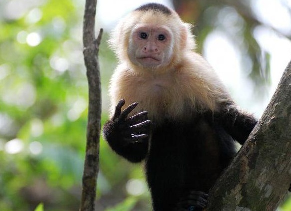 &amp;Ntilde;&amp;ETH;&amp;micro;&amp;ETH;&amp;iquest;&amp;ETH;&amp;ordm;&amp;ETH;&amp;frac34;&amp;Ntilde;&amp;ETH;&amp;sup2;&amp;ETH;&amp;frac34;&amp;Ntilde;&amp;Ntilde;&amp;ETH;&amp;deg;&amp;Ntilde; &amp;ETH;&amp;frac34;&amp;ETH;&amp;plusmn;&amp;ETH;&amp;micro;&amp;ETH;&amp;middot;&amp;Ntilde;&amp;Ntilde;&amp;ETH;&amp;frac12;&amp;ETH;&amp;deg;