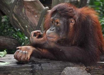 &amp;Ntilde;&amp;ETH;&amp;deg;&amp;ETH;&amp;middot;&amp;ETH;&amp;raquo;&amp;ETH;&amp;cedil;&amp;Ntilde;&amp;ETH;&amp;cedil;&amp;Ntilde; &amp;Ntilde;&amp;ETH;&amp;micro;&amp;ETH;&amp;raquo;&amp;ETH;&amp;frac34;&amp;ETH;&amp;sup2;&amp;ETH;&amp;micro;&amp;ETH;&amp;ordm;&amp;ETH;&amp;deg; &amp;ETH;&amp;cedil; &amp;Ntilde;&amp;ETH;&amp;micro;&amp;ETH;&amp;raquo;&amp;ETH;&amp;frac34;&amp;ETH;&amp;sup2;&amp;ETH;&amp;micro;&amp;ETH;&amp;ordm;&amp;ETH;&amp;frac34;&amp;ETH;&amp;frac34;&amp;ETH;&amp;plusmn;&amp;Ntilde;&amp;ETH;&amp;deg;&amp;ETH;&amp;middot;&amp;ETH;&amp;frac12;&amp;Ntilde;&amp;Ntilde; &amp;ETH;&amp;frac34;&amp;ETH;&amp;plusmn;&amp;ETH;&amp;micro;&amp;ETH;&amp;middot;&amp;Ntilde;&amp;Ntilde;&amp;ETH;&amp;frac12;