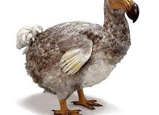 &amp;ETH;&amp;ETH;&amp;frac12;&amp;ETH;&amp;cedil;&amp;ETH;&amp;sup3;&amp;ETH;&amp;deg; &amp;ETH;&amp;cedil;&amp;Ntilde;&amp;Ntilde;&amp;ETH;&amp;micro;&amp;ETH;&amp;middot;&amp;ETH;&amp;frac12;&amp;Ntilde;&amp;ETH;&amp;sup2;&amp;Ntilde;&amp;ETH;&amp;cedil;&amp;Ntilde; &amp;ETH;&amp;para;&amp;ETH;&amp;cedil;&amp;ETH;&amp;sup2;&amp;ETH;&amp;frac34;&amp;Ntilde;&amp;ETH;&amp;frac12;&amp;Ntilde;&amp;Ntilde;