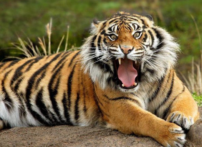 &amp;ETH;&amp;acute;&amp;ETH;&amp;cedil;&amp;ETH;&amp;ordm;&amp;ETH;&amp;cedil;&amp;ETH;&amp;micro; &amp;ETH;&amp;para;&amp;ETH;&amp;cedil;&amp;ETH;&amp;sup2;&amp;ETH;&amp;frac34;&amp;Ntilde;&amp;ETH;&amp;frac12;&amp;Ntilde;&amp;ETH;&amp;micro; &amp;Ntilde;&amp;ETH;&amp;iquest;&amp;ETH;&amp;cedil;&amp;Ntilde;&amp;ETH;&amp;frac34;&amp;ETH;&amp;ordm;