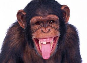 &amp;ETH;&amp;sup3;&amp;ETH;&amp;acute;&amp;ETH;&amp;micro; &amp;ETH;&amp;para;&amp;ETH;&amp;cedil;&amp;ETH;&amp;sup2;&amp;Ntilde;&amp;Ntilde; &amp;ETH;&amp;frac34;&amp;ETH;&amp;plusmn;&amp;ETH;&amp;micro;&amp;ETH;&amp;middot;&amp;Ntilde;&amp;Ntilde;&amp;ETH;&amp;frac12;&amp;Ntilde;