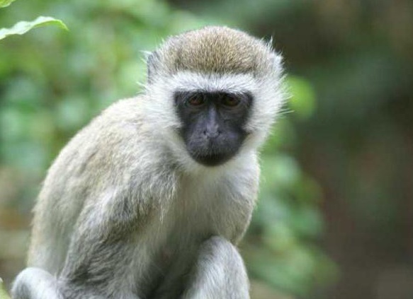 &amp;ETH;&amp;sup3;&amp;ETH;&amp;acute;&amp;ETH;&amp;micro; &amp;ETH;&amp;para;&amp;ETH;&amp;cedil;&amp;ETH;&amp;sup2;&amp;Ntilde;&amp;Ntilde; &amp;ETH;&amp;frac34;&amp;ETH;&amp;plusmn;&amp;ETH;&amp;micro;&amp;ETH;&amp;middot;&amp;Ntilde;&amp;Ntilde;&amp;ETH;&amp;frac12;&amp;Ntilde; &amp;ETH;&amp;cedil; &amp;Ntilde;&amp;ETH;&amp;micro;&amp;ETH;&amp;frac14; &amp;ETH;&amp;iquest;&amp;ETH;&amp;cedil;&amp;Ntilde;&amp;ETH;&amp;deg;&amp;Ntilde;&amp;Ntilde;&amp;Ntilde;&amp;Ntilde;