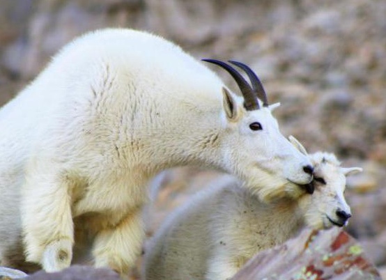 &amp;amp;amp;Ntilde;&amp;amp;amp;ETH;&amp;amp;amp;raquo;&amp;amp;amp;Ntilde;&amp;amp;amp;Ntilde;&amp;amp;amp;ETH;&amp;amp;amp;ordm;&amp;amp;amp;ETH;&amp;amp;amp;deg; &amp;amp;amp;ETH;&amp;amp;amp;ordm;&amp;amp;amp;ETH;&amp;amp;amp;frac34;&amp;amp;amp;ETH;&amp;amp;amp;middot;