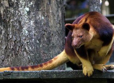 &amp;ETH;&amp;cedil;&amp;ETH;&amp;frac12;&amp;Ntilde;&amp;ETH;&amp;frac34;&amp;Ntilde;&amp;ETH;&amp;frac14;&amp;ETH;&amp;deg;&amp;Ntilde;&amp;ETH;&amp;cedil;&amp;Ntilde; &amp;ETH;&amp;frac34; &amp;ETH;&amp;para;&amp;ETH;&amp;cedil;&amp;ETH;&amp;sup2;&amp;ETH;&amp;frac34;&amp;Ntilde;&amp;ETH;&amp;frac12;&amp;Ntilde;&amp;Ntilde; &amp;ETH;&amp;frac14;&amp;ETH;&amp;micro;&amp;ETH;&amp;para;&amp;ETH;&amp;acute;&amp;Ntilde;&amp;ETH;&amp;frac12;&amp;ETH;&amp;deg;&amp;Ntilde;&amp;ETH;&amp;frac34;&amp;ETH;&amp;acute;&amp;ETH;&amp;frac12;&amp;ETH;&amp;frac34;&amp;ETH;&amp;sup1; &amp;ETH;&amp;ordm;&amp;Ntilde;&amp;ETH;&amp;deg;&amp;Ntilde;&amp;ETH;&amp;frac12;&amp;ETH;&amp;frac34;&amp;ETH;&amp;sup1; &amp;ETH;&amp;ordm;&amp;ETH;&amp;frac12;&amp;ETH;&amp;cedil;&amp;ETH;&amp;sup3;&amp;ETH;&amp;cedil;