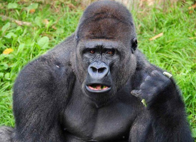 &amp;ETH;&amp;ETH;&amp;frac34;&amp;Ntilde;&amp;ETH;&amp;cedil;&amp;ETH;&amp;raquo;&amp;ETH;&amp;raquo;&amp;ETH;&amp;deg;: &amp;Ntilde;&amp;ETH;&amp;frac34;&amp;Ntilde;&amp;ETH;&amp;frac34;