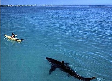 &amp;amp;amp;ETH;&amp;amp;amp;frac14;&amp;amp;amp;ETH;&amp;amp;amp;cedil;&amp;amp;amp;Ntilde; &amp;amp;amp;ETH;&amp;amp;amp;deg;&amp;amp;amp;ETH;&amp;amp;amp;ordm;&amp;amp;amp;Ntilde;&amp;amp;amp;ETH;&amp;amp;amp;raquo;