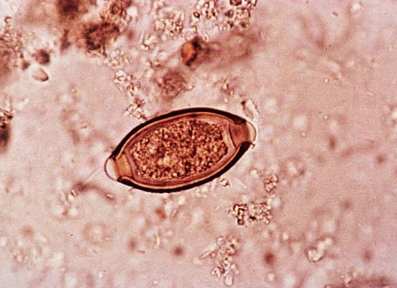 &amp;ETH;&amp;para;&amp;ETH;&amp;cedil;&amp;ETH;&amp;sup2;&amp;ETH;&amp;frac34;&amp;Ntilde;&amp;ETH;&amp;frac12;&amp;Ntilde;&amp;ETH;&amp;micro; &amp;ETH;&amp;iquest;&amp;ETH;&amp;deg;&amp;Ntilde;&amp;ETH;&amp;deg;&amp;ETH;&amp;middot;&amp;ETH;&amp;cedil;&amp;Ntilde;&amp;Ntilde;