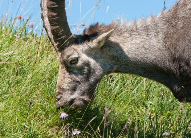 &amp;ETH;&amp;ordm;&amp;ETH;&amp;deg;&amp;ETH;&amp;ordm;&amp;ETH;&amp;cedil;&amp;ETH;&amp;micro; &amp;ETH;&amp;plusmn;&amp;Ntilde;&amp;ETH;&amp;sup2;&amp;ETH;&amp;deg;&amp;Ntilde;&amp;Ntilde; &amp;ETH;&amp;para;&amp;ETH;&amp;cedil;&amp;ETH;&amp;sup2;&amp;ETH;&amp;frac34;&amp;Ntilde;&amp;ETH;&amp;frac12;&amp;Ntilde;&amp;ETH;&amp;micro; &amp;Ntilde;&amp;ETH;&amp;deg;&amp;Ntilde;&amp;Ntilde;&amp;ETH;&amp;cedil;&amp;Ntilde;&amp;ETH;&amp;micro;&amp;ETH;&amp;raquo;&amp;Ntilde;&amp;ETH;&amp;frac12;&amp;ETH;&amp;frac34;&amp;Ntilde;&amp;ETH;&amp;acute;&amp;ETH;&amp;frac12;&amp;Ntilde;&amp;ETH;&amp;micro;