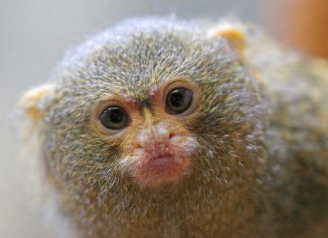 &amp;ETH;&amp;raquo;&amp;ETH;&amp;micro;&amp;ETH;&amp;frac14;&amp;Ntilde;&amp;Ntilde; &amp;ETH;&amp;frac14;&amp;ETH;&amp;deg;&amp;ETH;&amp;raquo;&amp;ETH;&amp;micro;&amp;ETH;&amp;frac12;&amp;Ntilde;&amp;ETH;&amp;ordm;&amp;ETH;&amp;deg;&amp;Ntilde; &amp;ETH;&amp;frac34;&amp;ETH;&amp;plusmn;&amp;ETH;&amp;micro;&amp;ETH;&amp;middot;&amp;Ntilde;&amp;Ntilde;&amp;ETH;&amp;frac12;&amp;ETH;&amp;ordm;&amp;ETH;&amp;deg; &amp;Ntilde; &amp;ETH;&amp;plusmn;&amp;ETH;&amp;frac34;&amp;ETH;&amp;raquo;&amp;Ntilde;&amp;Ntilde;&amp;ETH;&amp;cedil;&amp;ETH;&amp;frac14;&amp;ETH;&amp;cedil; &amp;ETH;&amp;sup3;&amp;ETH;&amp;raquo;&amp;ETH;&amp;deg;&amp;ETH;&amp;middot;&amp;ETH;&amp;deg;&amp;ETH;&amp;frac14;&amp;ETH;&amp;cedil;