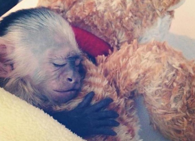 &amp;ETH;&amp;sup2;&amp;ETH;&amp;cedil;&amp;ETH;&amp;acute;&amp;Ntilde; &amp;ETH;&amp;acute;&amp;ETH;&amp;frac34;&amp;ETH;&amp;frac14;&amp;ETH;&amp;deg;&amp;Ntilde;&amp;ETH;&amp;frac12;&amp;ETH;&amp;cedil;&amp;Ntilde; &amp;ETH;&amp;frac34;&amp;ETH;&amp;plusmn;&amp;ETH;&amp;micro;&amp;ETH;&amp;middot;&amp;Ntilde;&amp;Ntilde;&amp;ETH;&amp;frac12;&amp;ETH;&amp;frac34;&amp;ETH;&amp;ordm;