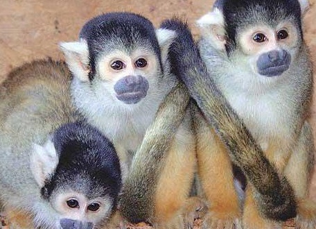 &amp;ETH;&amp;frac34;&amp;ETH;&amp;plusmn;&amp;Ntilde;&amp;ETH;&amp;ordm;&amp;ETH;&amp;frac12;&amp;ETH;&amp;frac34;&amp;ETH;&amp;sup2;&amp;ETH;&amp;micro;&amp;ETH;&amp;frac12;&amp;ETH;&amp;frac12;&amp;ETH;&amp;deg;&amp;Ntilde; &amp;ETH;&amp;plusmn;&amp;ETH;&amp;micro;&amp;ETH;&amp;raquo;&amp;ETH;&amp;cedil;&amp;Ntilde;&amp;Ntilde;&amp;Ntilde; &amp;ETH;&amp;frac34;&amp;ETH;&amp;plusmn;&amp;ETH;&amp;micro;&amp;ETH;&amp;middot;&amp;Ntilde;&amp;Ntilde;&amp;ETH;&amp;frac12;&amp;ETH;&amp;deg;