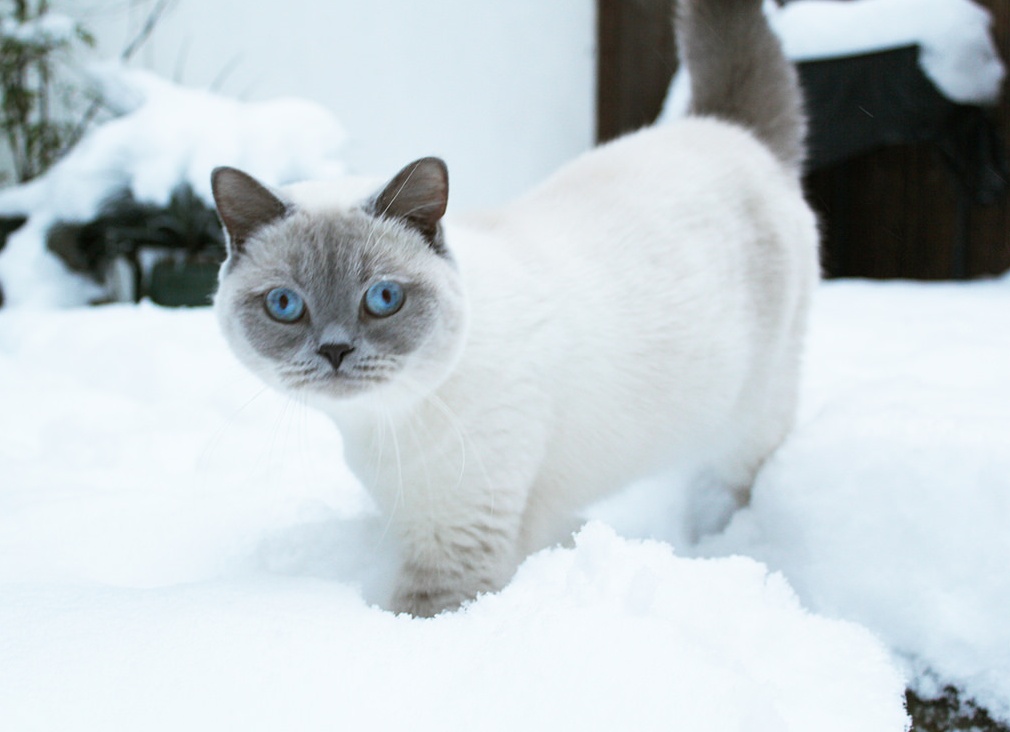 &amp;ETH;&amp;ETH;&amp;frac34;&amp;ETH;&amp;raquo;&amp;ETH;&amp;frac34;&amp;Ntilde; &amp;ETH;&amp;iquest;&amp;ETH;&amp;frac34;&amp;ETH;&amp;sup1;&amp;ETH;&amp;frac12;&amp;Ntilde;