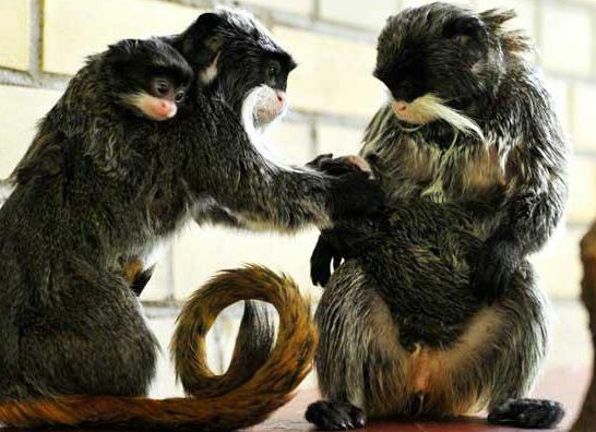 &amp;ETH;&amp;cedil;&amp;ETH;&amp;frac14;&amp;ETH;&amp;iquest;&amp;ETH;&amp;micro;&amp;Ntilde;&amp;ETH;&amp;deg;&amp;Ntilde;&amp;ETH;&amp;frac34;&amp;Ntilde;&amp;Ntilde;&amp;ETH;&amp;ordm;&amp;ETH;&amp;cedil;&amp;ETH;&amp;sup1; &amp;Ntilde;&amp;ETH;&amp;deg;&amp;ETH;&amp;frac14;&amp;ETH;&amp;deg;&amp;Ntilde;&amp;ETH;&amp;cedil;&amp;ETH;&amp;frac12; &amp;ETH;&amp;frac34;&amp;ETH;&amp;iquest;&amp;ETH;&amp;cedil;&amp;Ntilde;&amp;ETH;&amp;deg;&amp;ETH;&amp;frac12;&amp;ETH;&amp;cedil;&amp;ETH;&amp;micro; &amp;ETH;&amp;para;&amp;ETH;&amp;cedil;&amp;ETH;&amp;sup2;&amp;ETH;&amp;frac34;&amp;Ntilde;&amp;ETH;&amp;frac12;&amp;ETH;&amp;frac34;&amp;ETH;&amp;sup3;&amp;ETH;&amp;frac34;