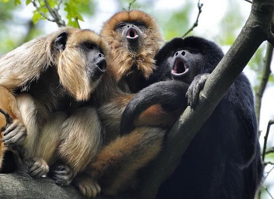 &amp;ETH;&amp;ETH;&amp;deg;&amp;ETH;&amp;ordm; &amp;ETH;&amp;frac34;&amp;ETH;&amp;plusmn;&amp;ETH;&amp;micro;&amp;ETH;&amp;middot;&amp;Ntilde;&amp;Ntilde;&amp;ETH;&amp;frac12;&amp;Ntilde; &amp;ETH;&amp;frac34;&amp;ETH;&amp;plusmn;&amp;Ntilde;&amp;ETH;&amp;deg;&amp;Ntilde;&amp;Ntilde;&amp;Ntilde;&amp;Ntilde; &amp;ETH;&amp;frac14;&amp;ETH;&amp;micro;&amp;ETH;&amp;para;&amp;ETH;&amp;acute;&amp;Ntilde; &amp;Ntilde;&amp;ETH;&amp;frac34;&amp;ETH;&amp;plusmn;&amp;ETH;&amp;frac34;&amp;ETH;&amp;sup1;