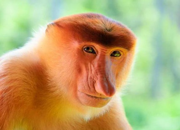 &amp;ETH;&amp;frac12;&amp;ETH;&amp;frac34;&amp;Ntilde;&amp;ETH;&amp;deg;&amp;Ntilde; &amp;ETH;&amp;frac34;&amp;ETH;&amp;plusmn;&amp;ETH;&amp;micro;&amp;ETH;&amp;middot;&amp;Ntilde;&amp;Ntilde;&amp;ETH;&amp;frac12;&amp;ETH;&amp;deg;